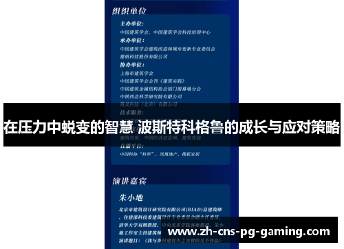 在压力中蜕变的智慧 波斯特科格鲁的成长与应对策略