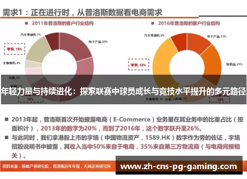 年轻力量与持续进化：探索联赛中球员成长与竞技水平提升的多元路径