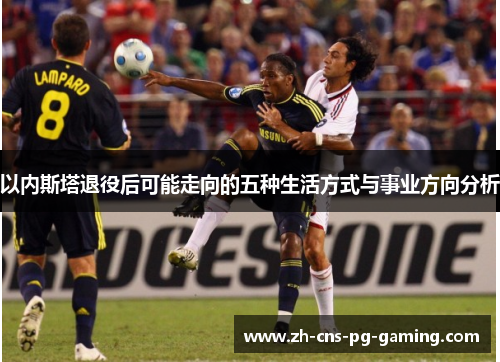 以内斯塔退役后可能走向的五种生活方式与事业方向分析