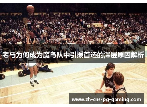 老马为何成为魔鸟队中引援首选的深层原因解析 老马为何成为魔鸟队中引援首选的深层原因解析
