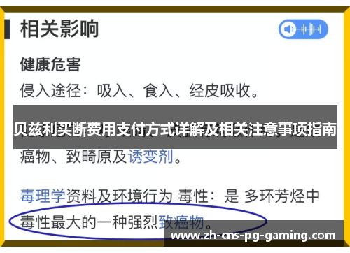 贝兹利买断费用支付方式详解及相关注意事项指南